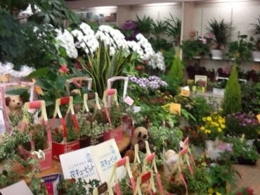 「花良」　（埼玉県入間郡毛呂山町）の花屋店舗写真2